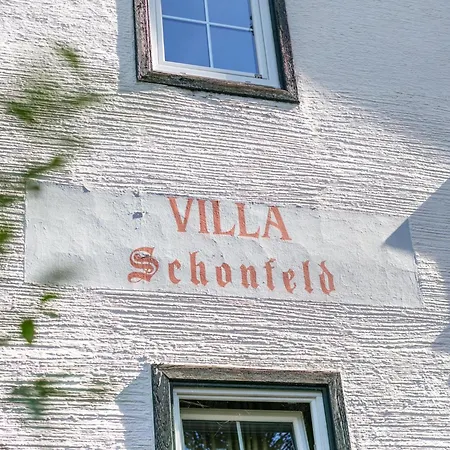 Schoenfeld * Kitzbühel